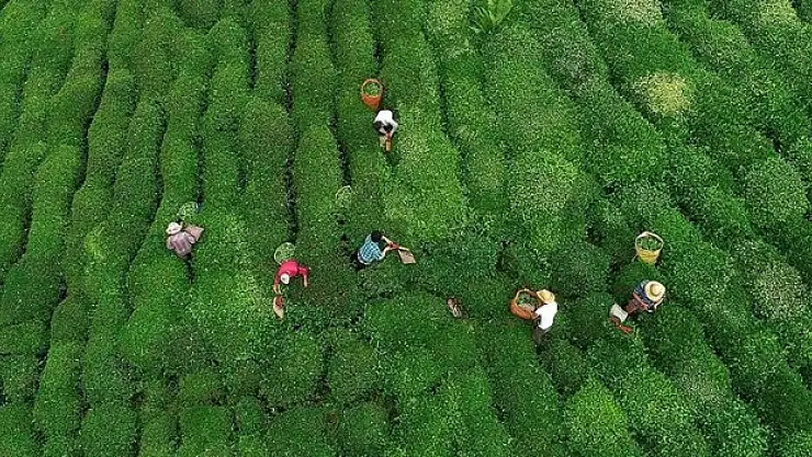 Yarından itibaren serbest alım