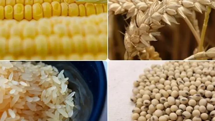 Emtia piyasasında seçim etkileri