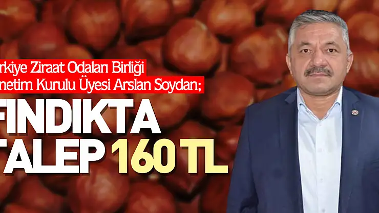 Fındıkta Talep 160 TL