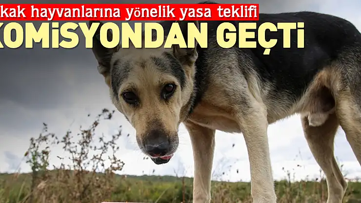 YASA TEKLİFİ KOMİSYONDAN GEÇTİ