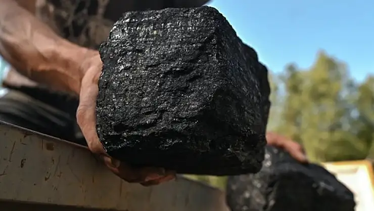 Dünya kömür talebinde iki yıl yatay seyir bekleniyor