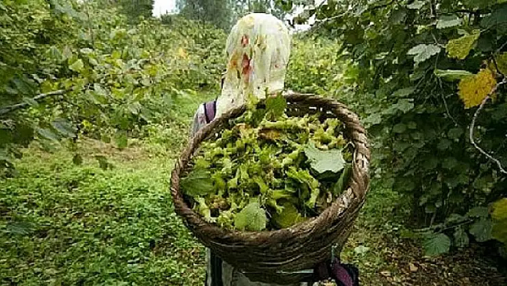 Bafra'da yevmiye ücreti 1000 TL