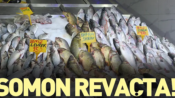 Somon revaçta!