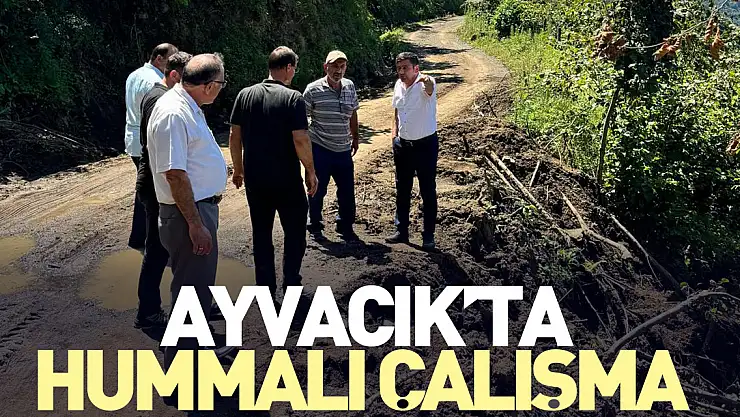 Ayvacık'ta hummalı çalışma