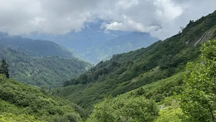 Camili Havzası kültürel ekolojik gezilerin rotasında