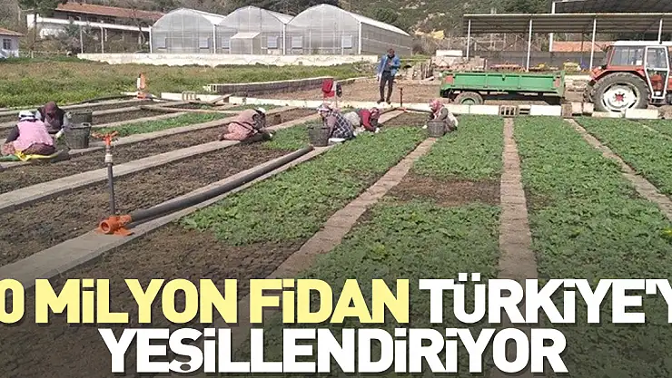 10 milyon fidan Türkiye'yi yeşillendiriyor