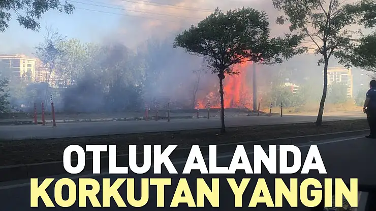 SAMSUN'DA KORKUTAN YANGIN
