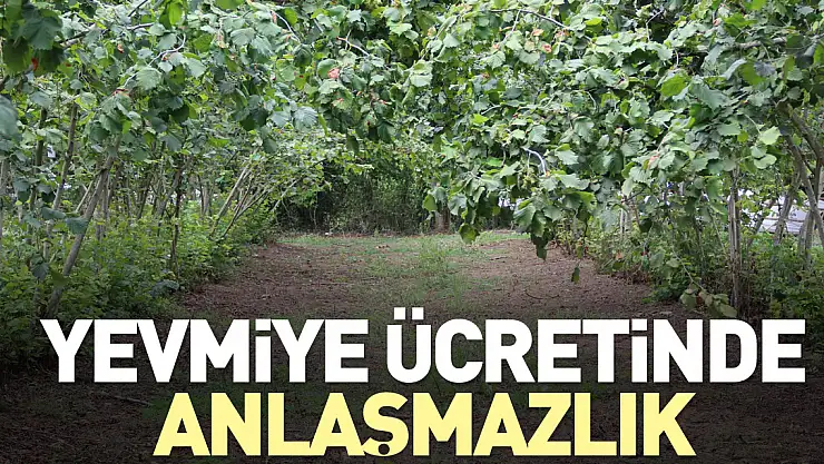 YEVMİYE ÜCRETİNDE ANLAŞMAZLIK