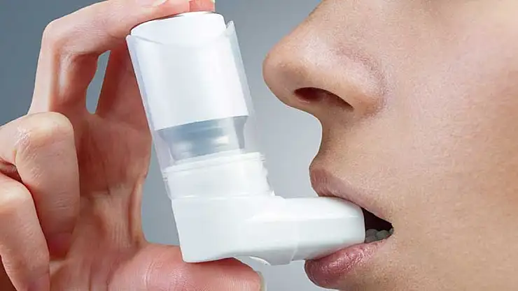 Fındık hasat mevsimi öncesi astım hastalarına uyarı