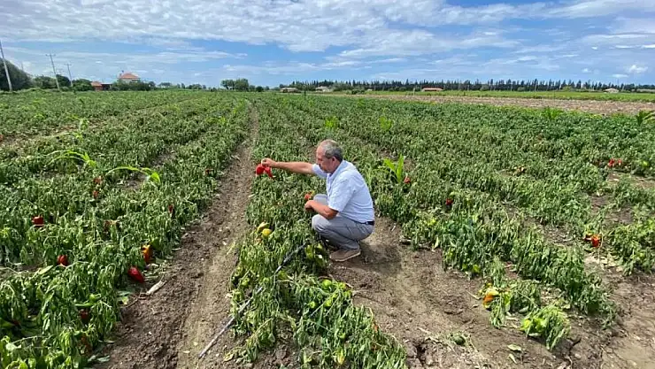 'Zararımız çok büyük'