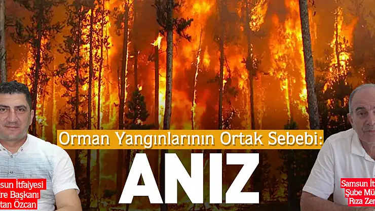 Orman Yangınlarının Ortak Sebebi: Anız