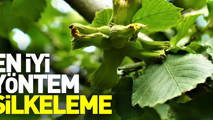 En iyi yöntem silkeleme