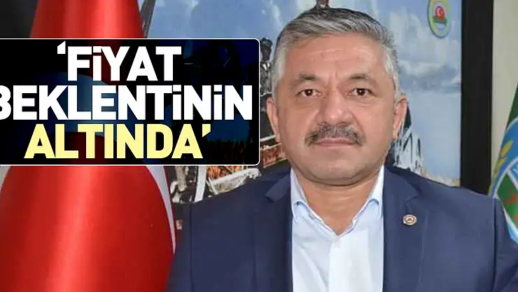 'Fiyat Beklentinin Altında'