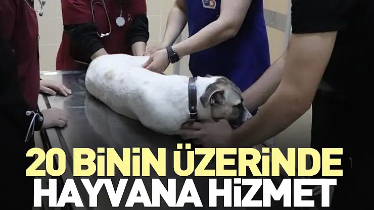 20 binin üzerinde hayvana hizmet