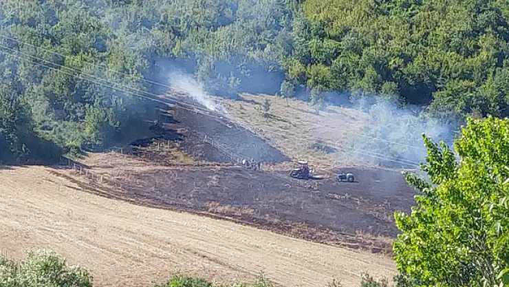 Anız yangını korkuttu