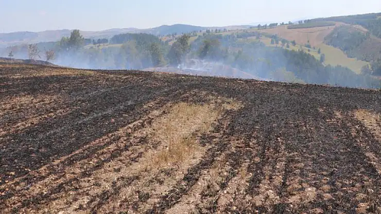 Samsun'da anız yangını