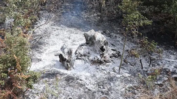 150 dekar alan zarar gördü