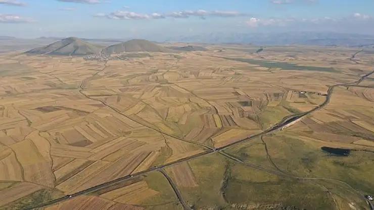 Kars Ovası halı gibi desenlere büründü