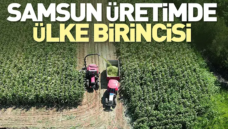Samsun üretimde ülke birincisi