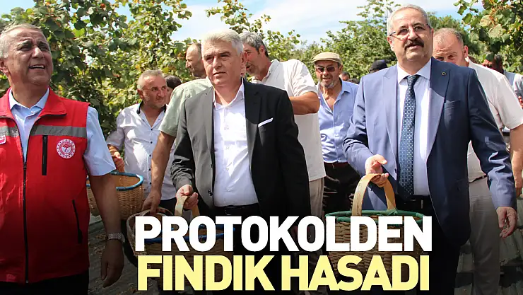 Protokolden Fındık Hasadı