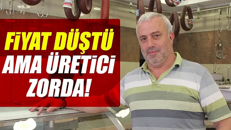 Fiyat düştü ama üretici zorda!