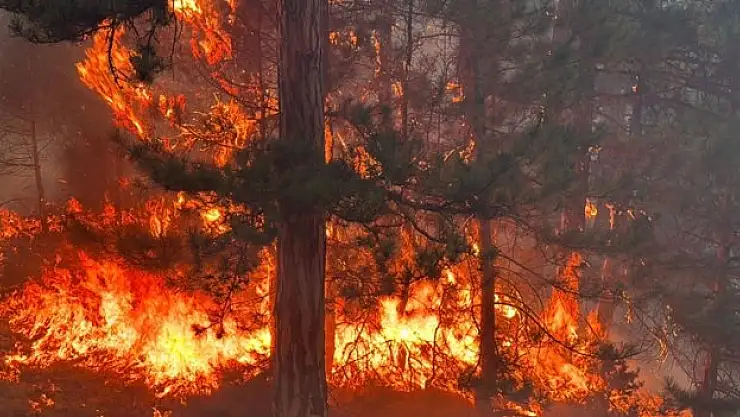 22 saattir müdahale ediliyor