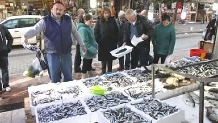 Samsun'da Balık Fiyatları