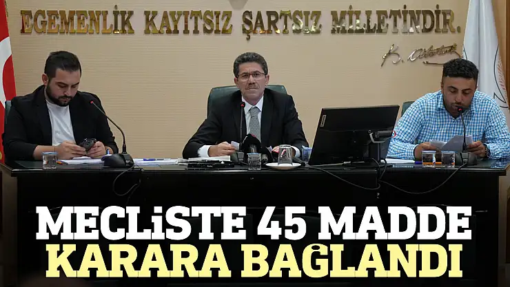 45 madde karara bağlandı