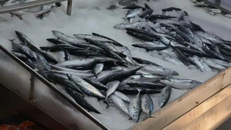 '1 ay daha bekleyelim'