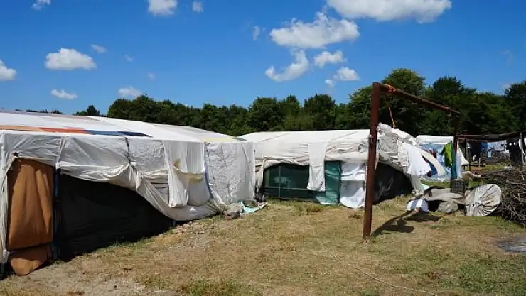 Şehir şehir gezip, çadırlarda konaklıyorlar