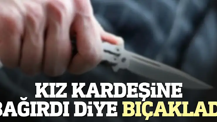 Kız kardeşine bağırdı diye bıçakladı