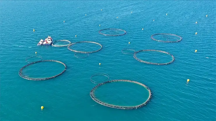Su ürünleri yetiştiriciliğinde düzenlemeye gidildi