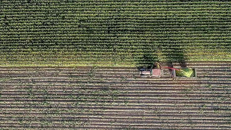 Üreticilerin pazarlama sorunu çözülecek