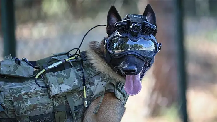 Mehmetçiğin arazideki gözü olacak