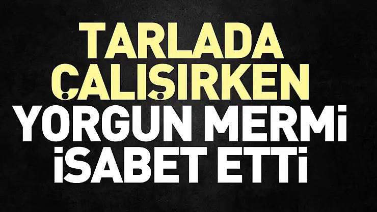 TARLADA ÇALIŞIRKEN YORGUN MERMİ İSABET ETTİ