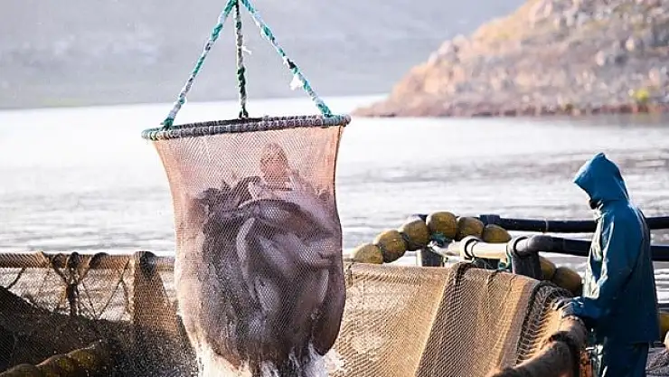 İhracat yüzde 3 arttı