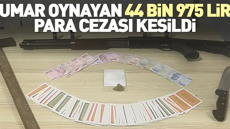 Kumar oynayan 7 kişiye 44 bin 975 lira para cezası kesildi