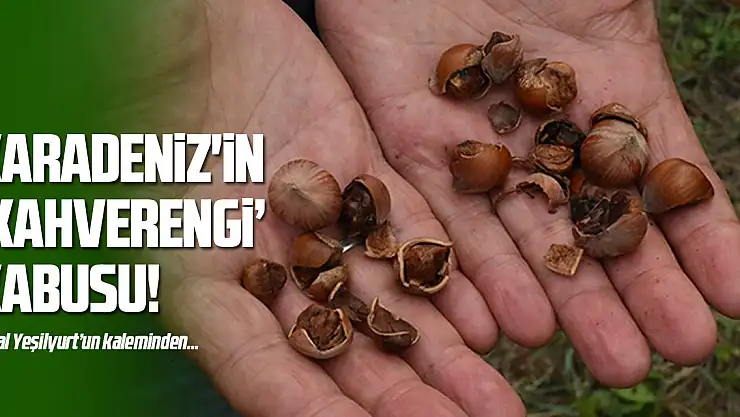 Karadeniz'in 'Kahverengi' Kabusu!