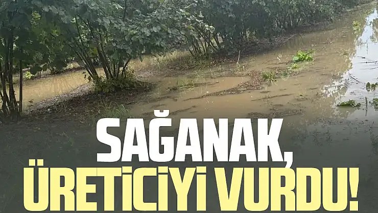 Sağanak, üreticiyi vurdu!