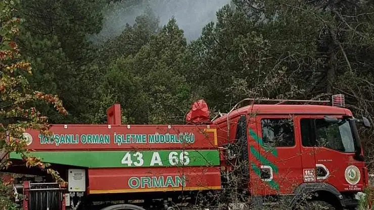 Ormanlık alana yıldırım düştü