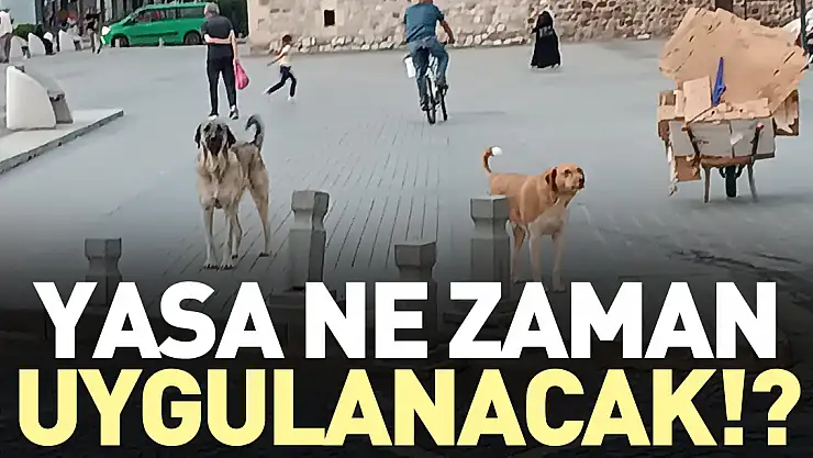 YASA NE ZAMAN UYGULANACAK!?