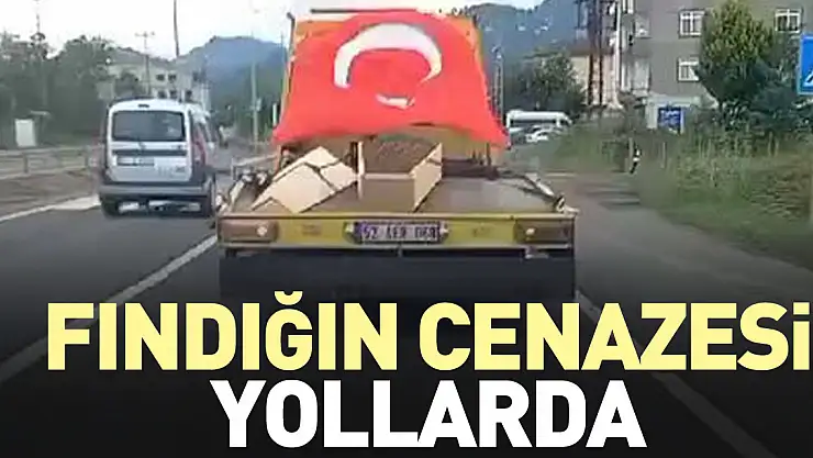 FINDIĞIN CENAZESİ YOLLARDA