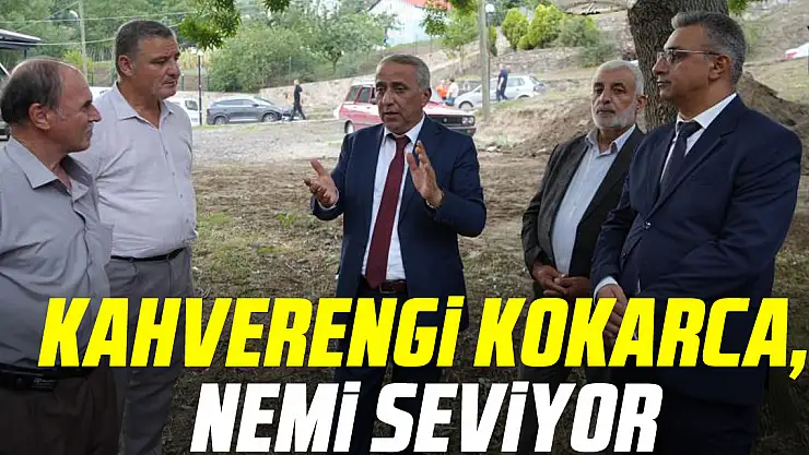 kahverengi kokarca, nemi seviyor
