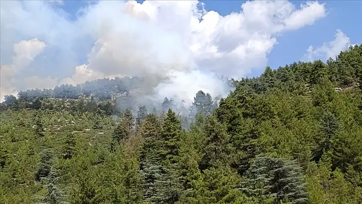 Burdur'da çıkan orman yangını söndürüldü