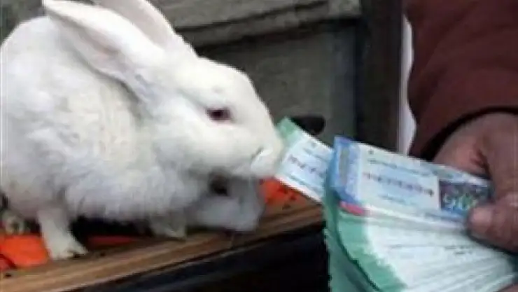 Piyangoya ilgi büyük!