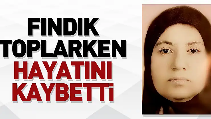 ECEL FINDIK TOPLARKEN YAKALADI