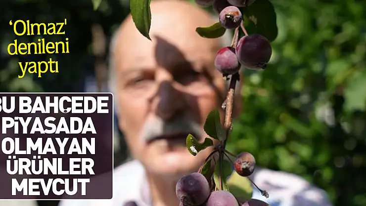 Bu bahçede piyasada olmayan ürünler mevcut