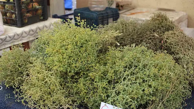 Tarhana otu tezgahları süslüyor