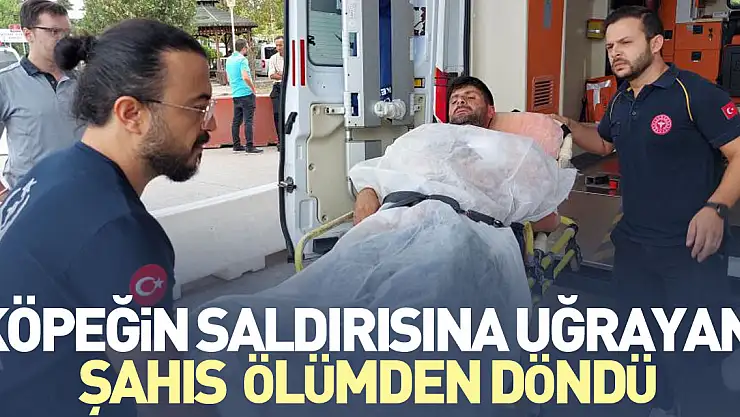 Köpeğin saldırısına uğrayan şahıs  ölümden döndü