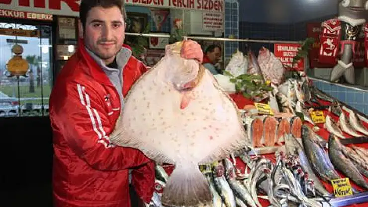 Hamsinin yokluğunu Kalkan doldurdu